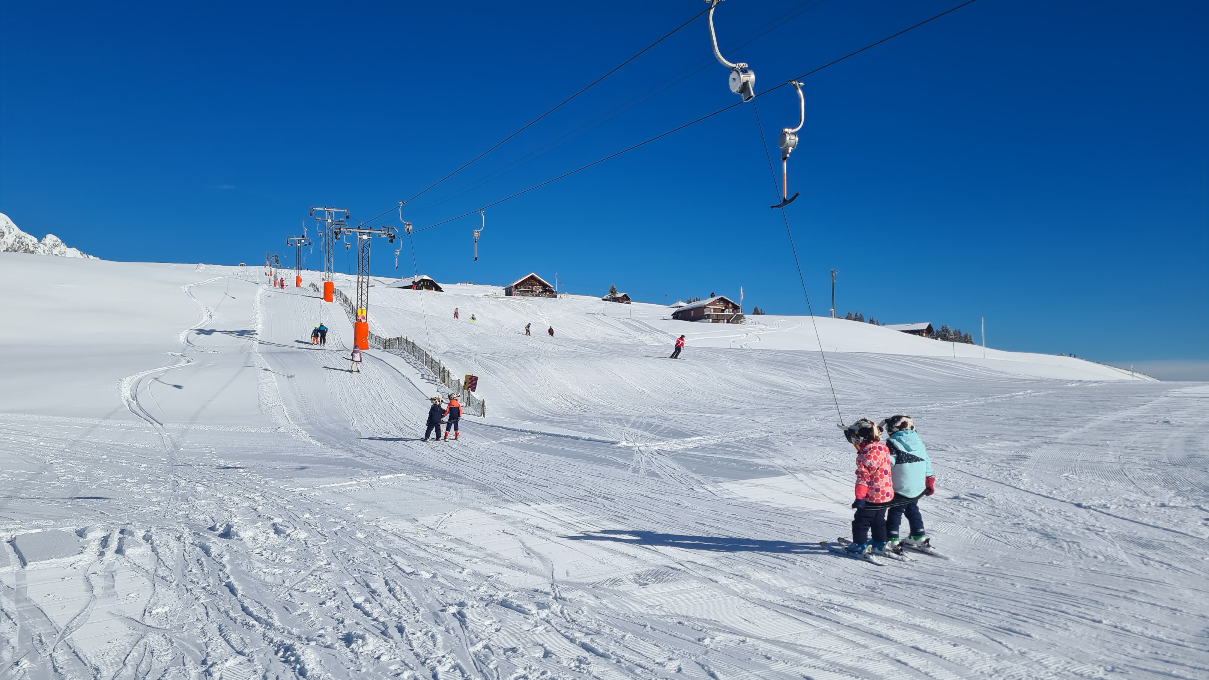 2026.03.04_MM_SBS_Saisonmonitoring_Bild4_Symbolbild