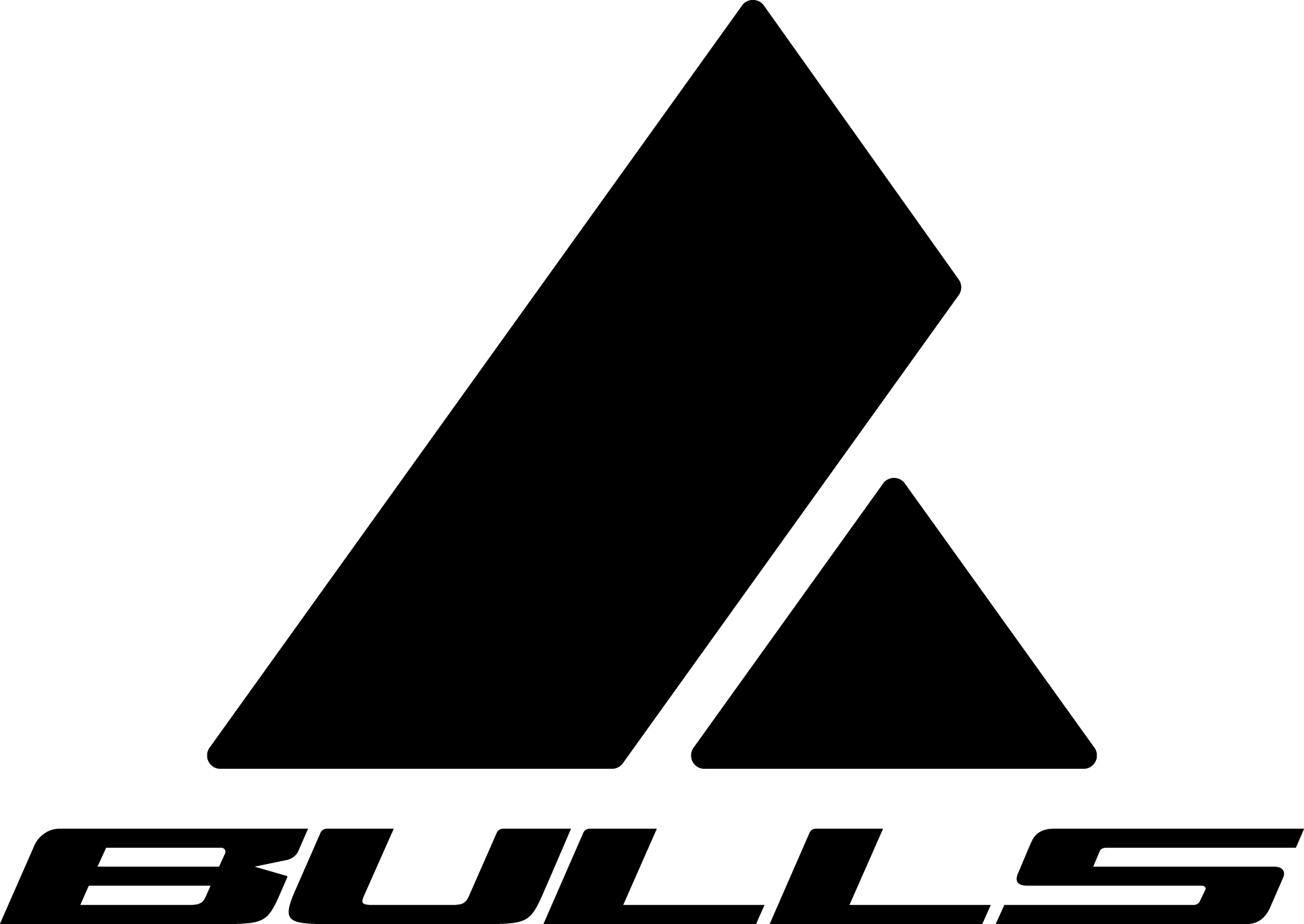 BULLS-Logo-neu_Berg_Schriftzug