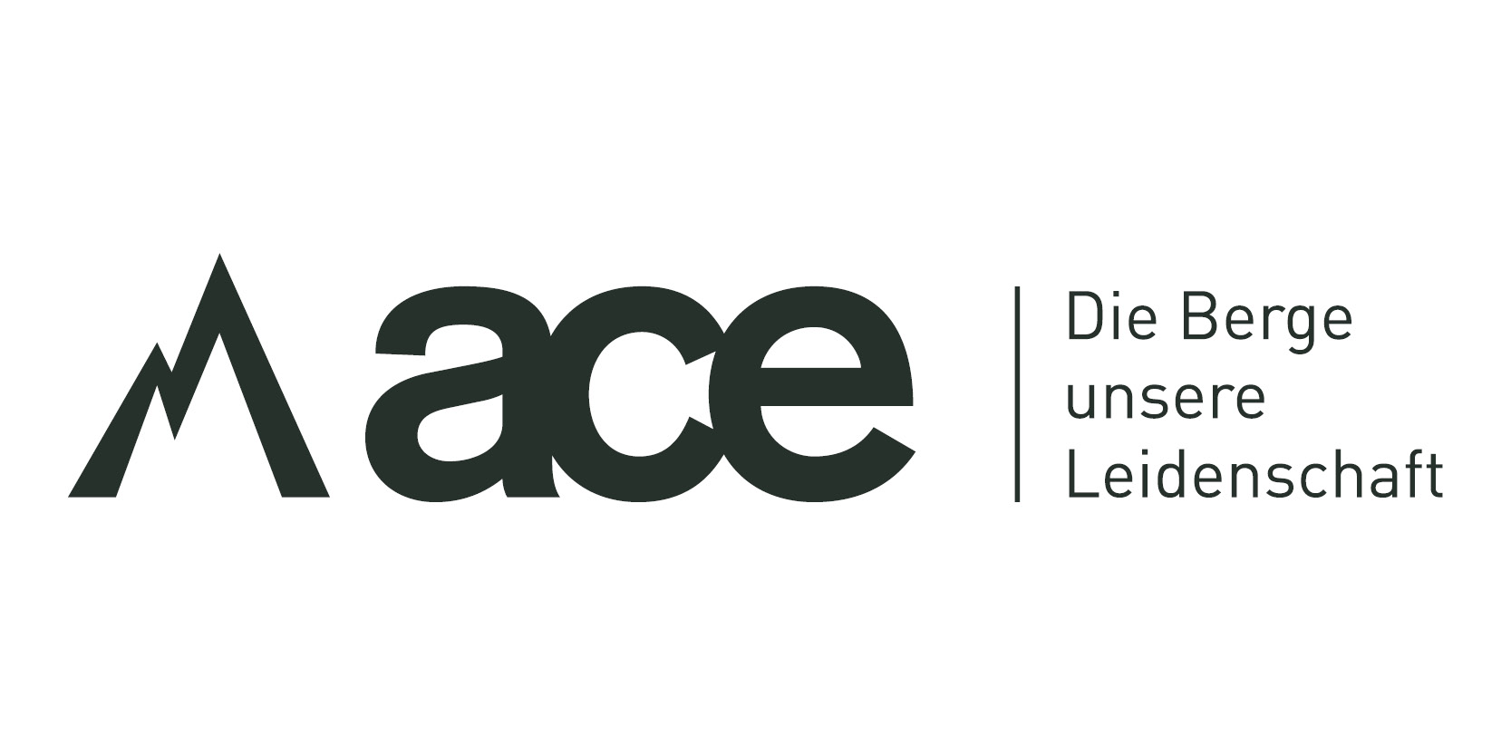 ACE-Logo_800x400_1